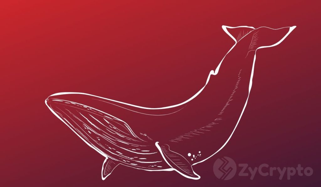 Data Shows Mammoth Whale Activity On Coinbase And Gemini Right Before Bitcoin Dipped