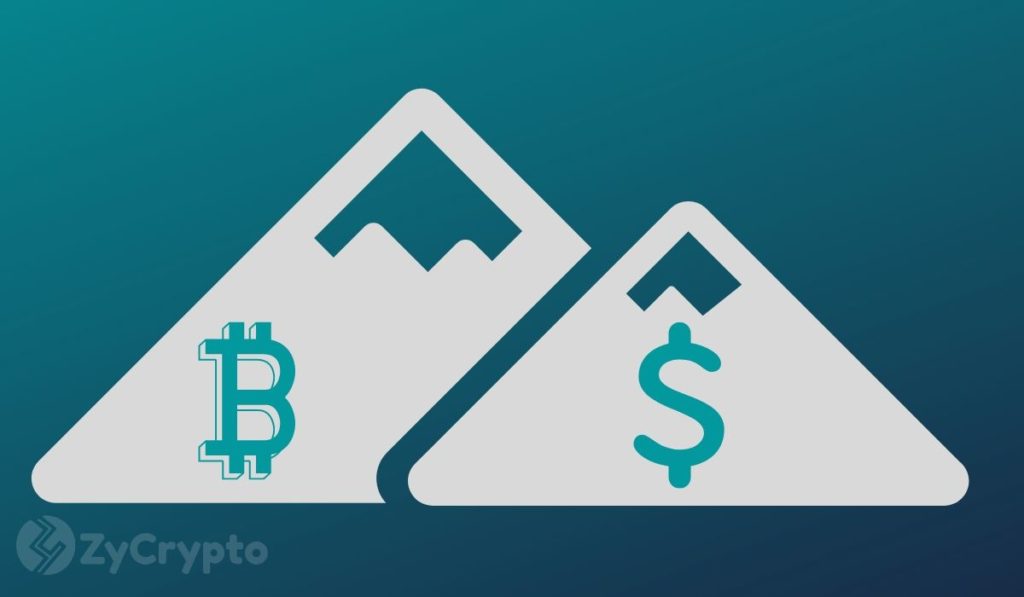 How Bitcoin And XRP Could Thrive If The Dollar Is Tokenized