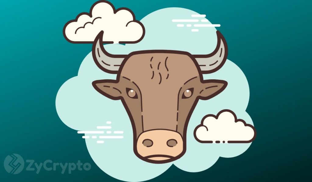 Bitcoin Primed For A Massive Bull Run  Bloomberg Analysts