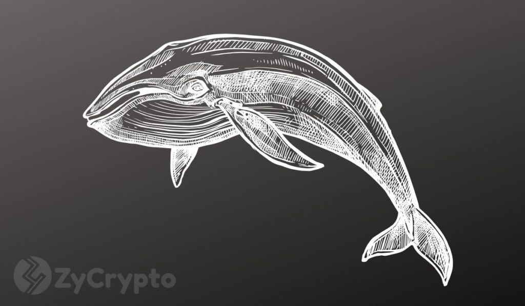  bitcoin moment whales number much time two 