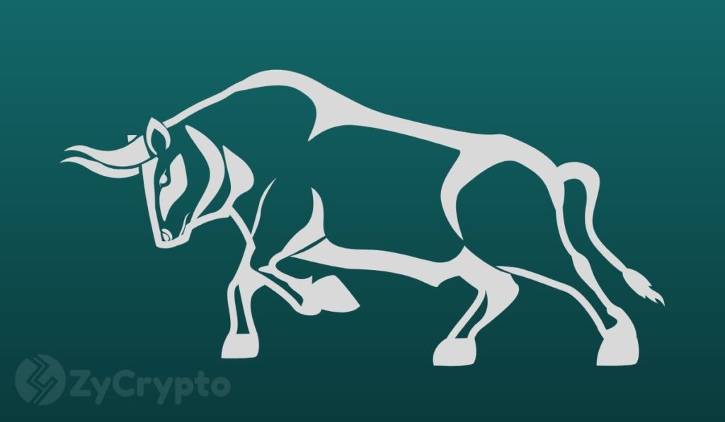 Glassnode Co-Founder Explains 9 Reasons Why You Should Be Long-Term Bullish On Bitcoin