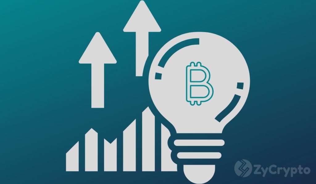  bitcoin investors investment prove continued reports halving 