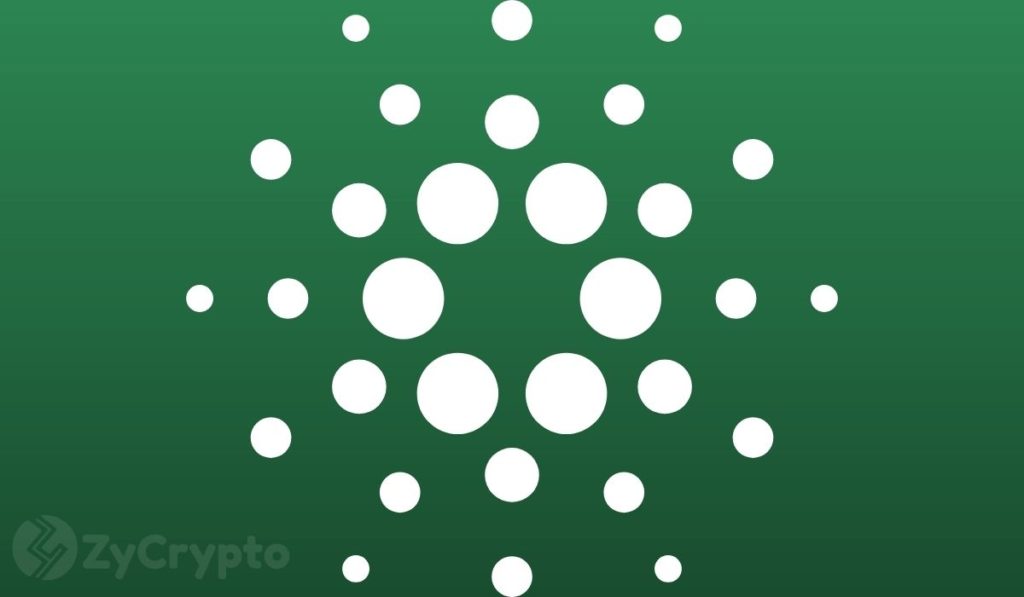  long-term reversal cardano price outperforming entire asset 