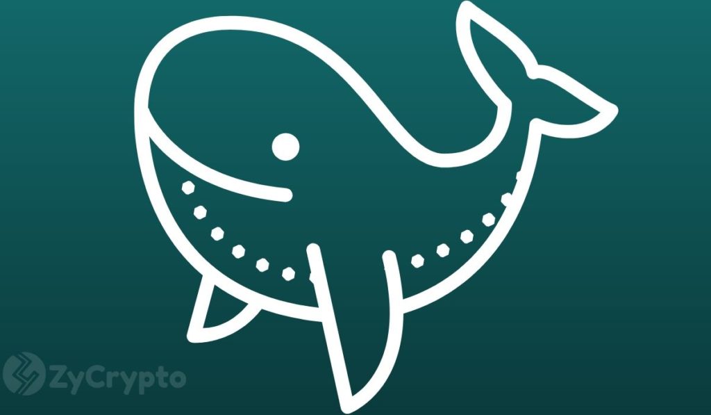  bitcoin btc whales whale 40k rise activity 