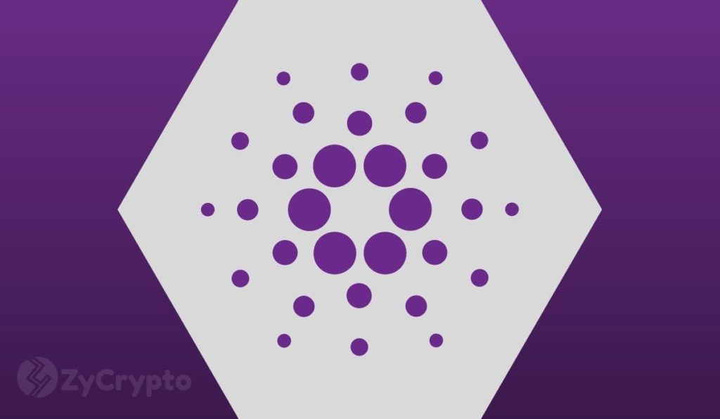  cardano 500 stores online pools shopify integration 