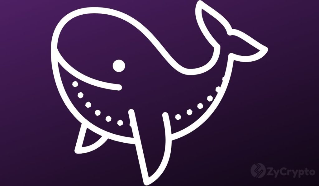 Ether Sees Largest Amount Of Whale Transactions Since January  A Major Relief Rally On The Horizon?