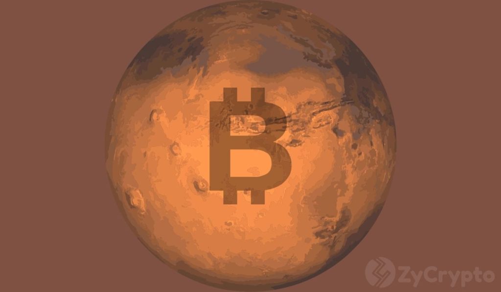 Bitcoin Will Go To Mars If Elon Musk Puts Teslas Balance Sheet Into Bitcoin  Tyler Winklevoss Speculates