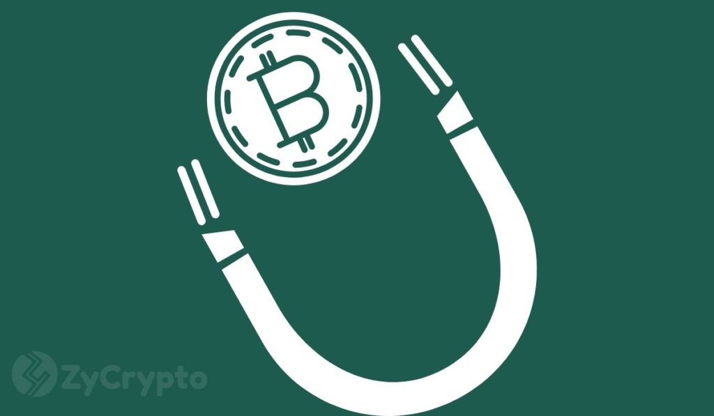  bitcoin crypto nextech adoption virtual provider welcomed 