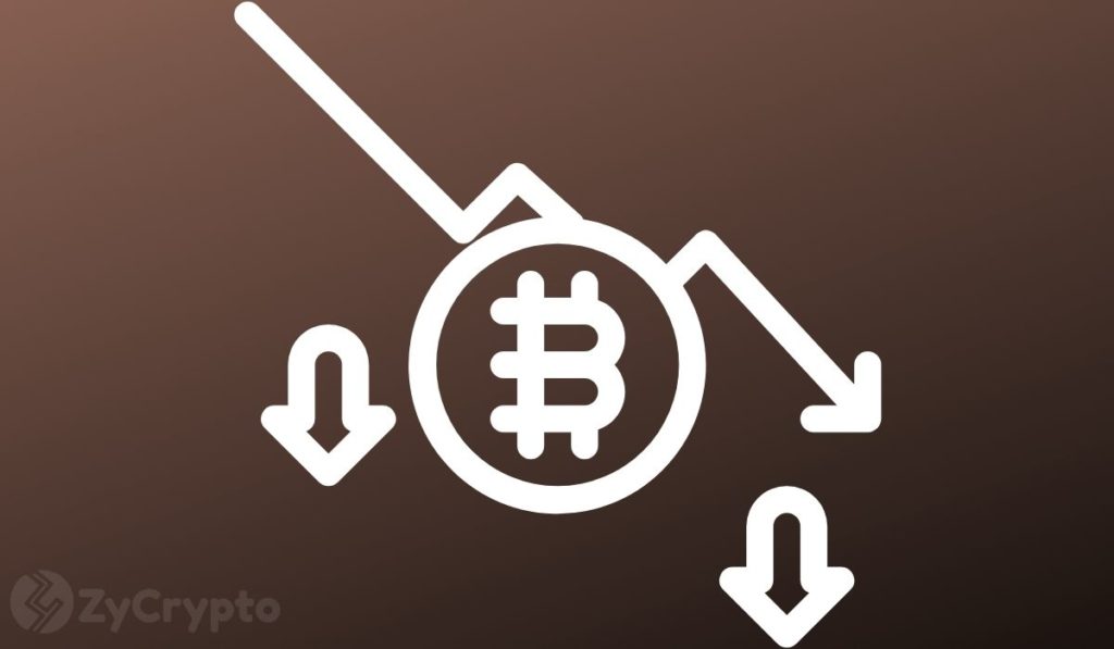  bitcoin like market cryptocurrencies creation tweet grown 