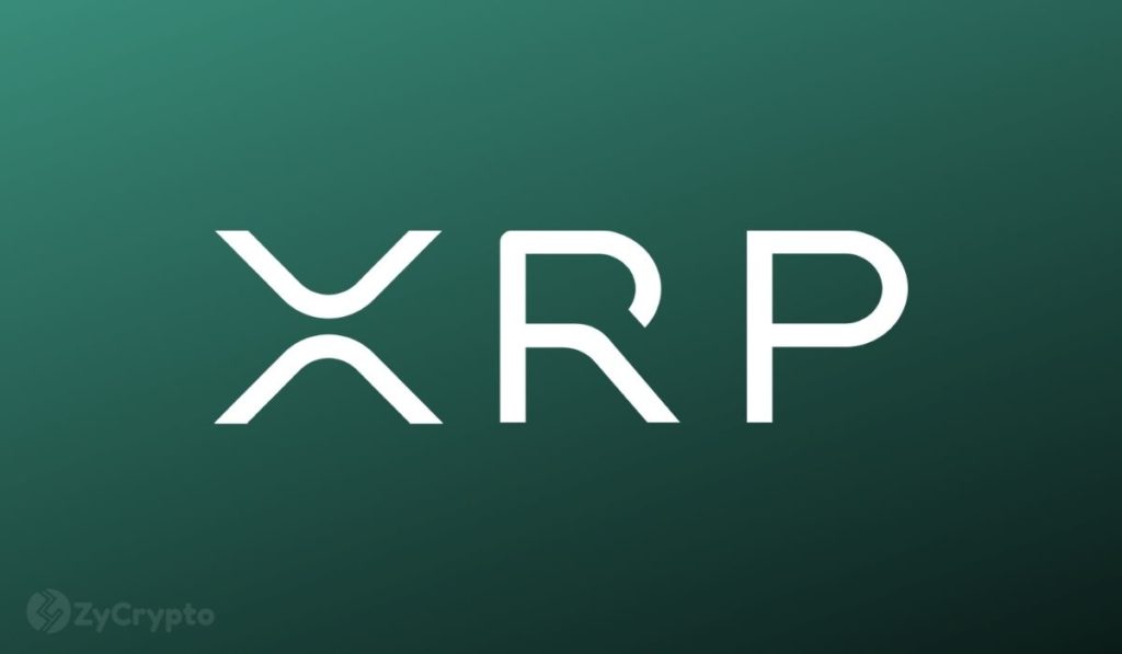  xrp bullish one recorded ultra looking highest 