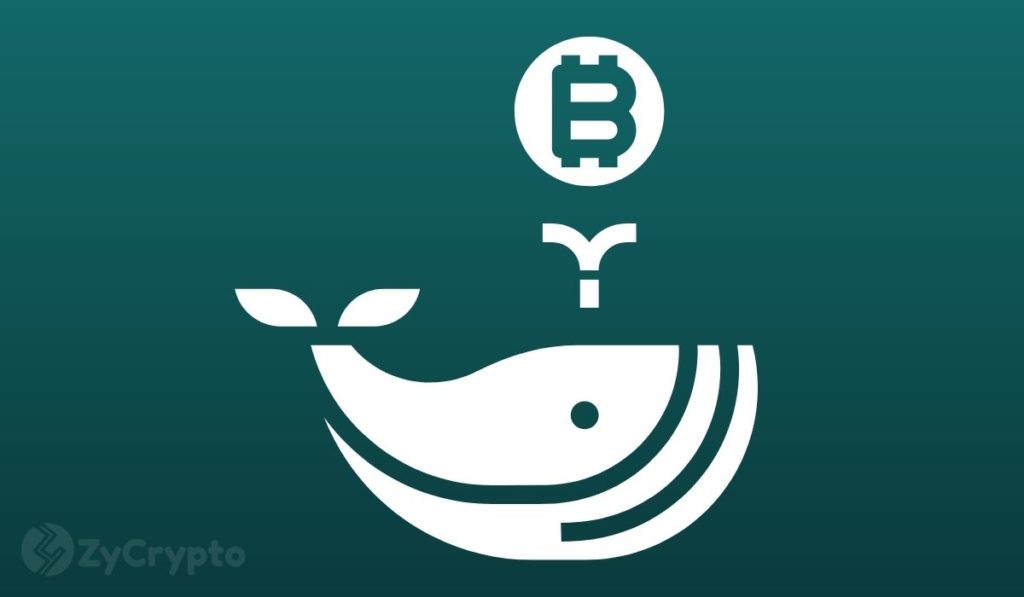  billion worth btc mysterious whale bitcoin created 