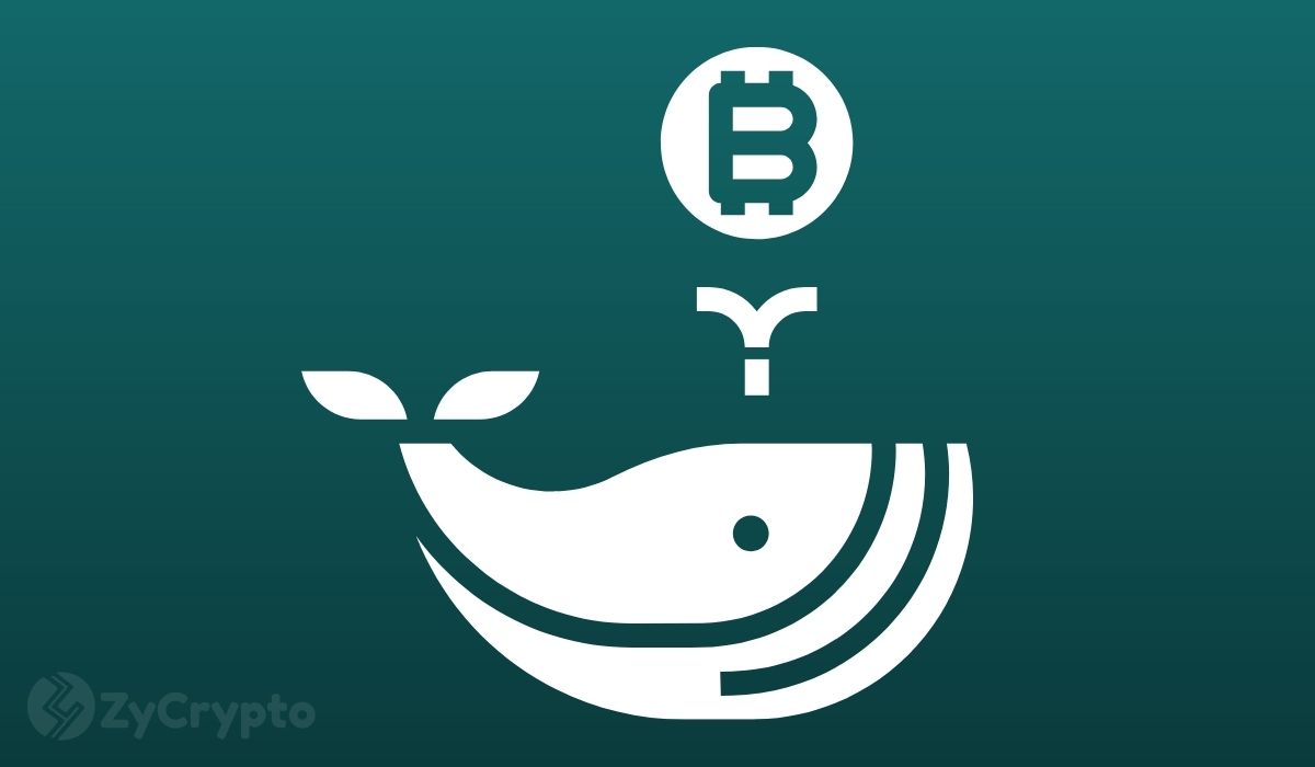 $1 Billion Worth Of BTC Leaves Coinbase In A Day As Whales Aggressively Accumulate Bitcoin