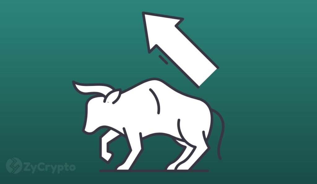 Dormant Investments On The Move As Key Metric Confirms Another Bitcoin Bull Run In The Offing