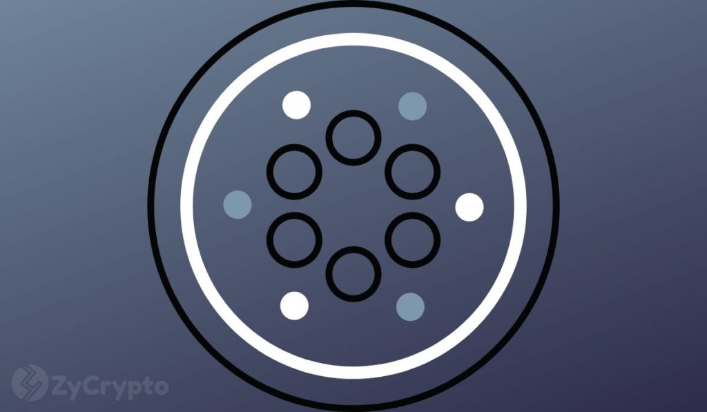  cardano block production seven months making formally 
