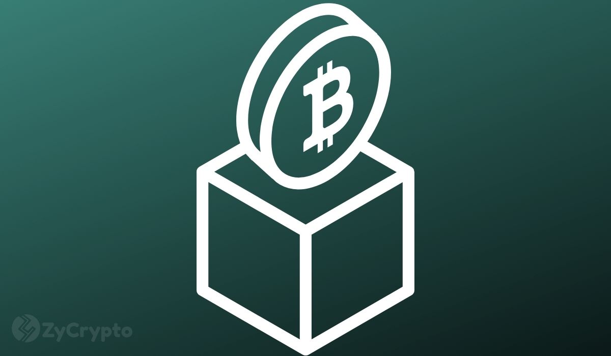  bet price bitcoin technology blockchain company future 
