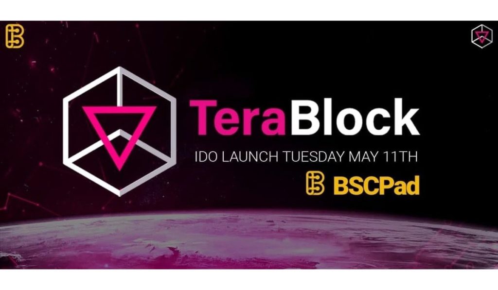  bscpad terablock ido offering dex need stake 