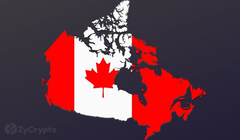  crypto canadians canada pandemic 2020 assets digital 