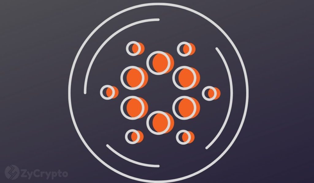  cardano staked ada billion total network represents 