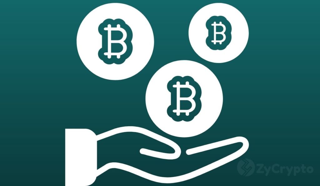  btc bitcoin turning hopes belgium blockchain despite 