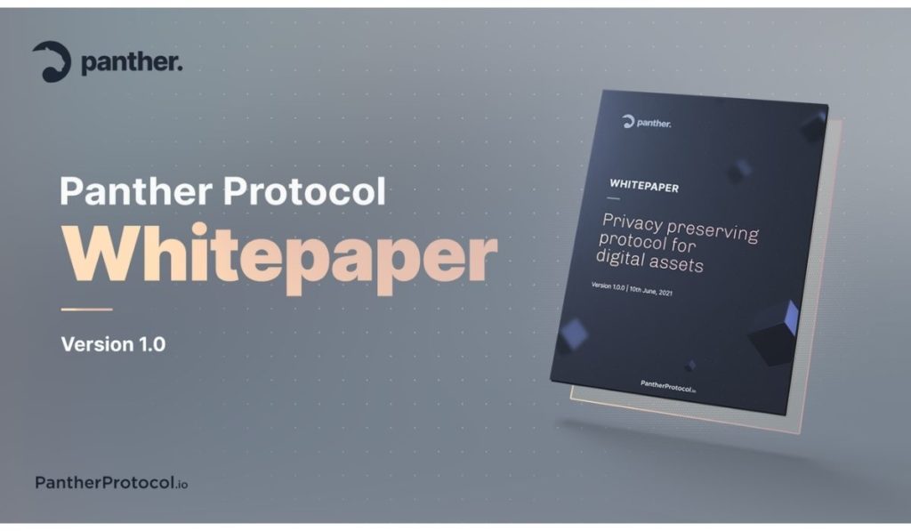 panther whitepaper defi protocol privacy mohammed anish 