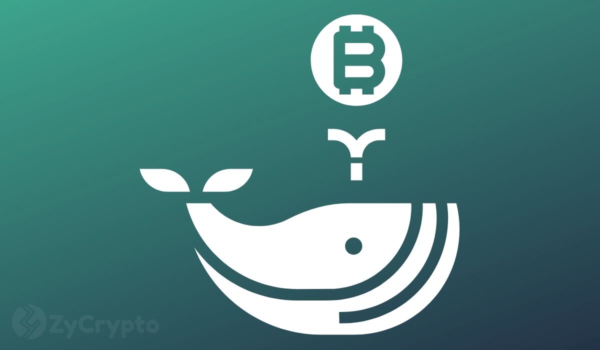Bitcoin Price Fall Ignites Huge Buy The Dip Moment For Whales As BTC Accumulation Heightens