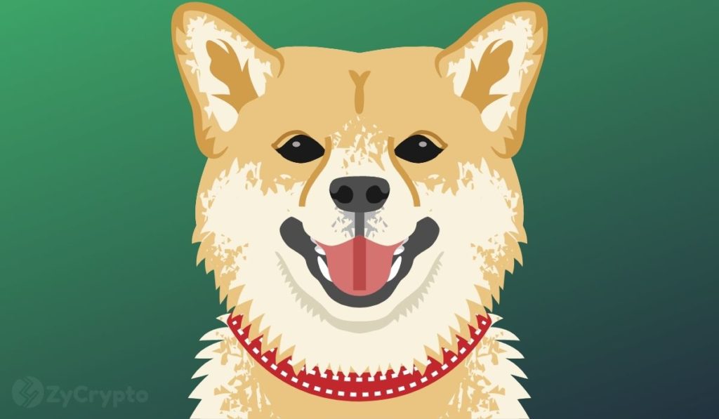Why Market Pundits Believe Dogecoin Will Hit $1 Next year, Rapidly Outperforming Shiba Inu