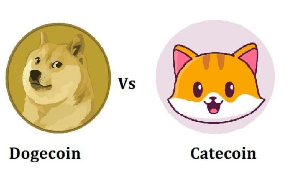 Dogecoin vs Catecoin  a meme coin with decentralized meme platform