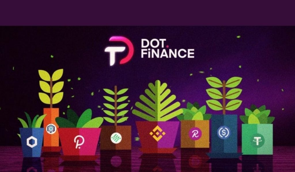Dot.Finance: Listed on MXC, Adds New Maximizers And Staking Pool