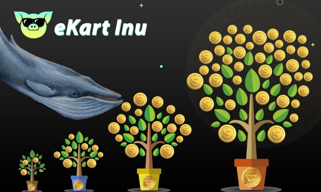 Ekart Inu Holders Could Hit It Big Following Current Growth Trend