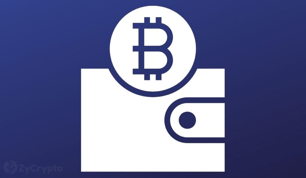  bitcoin btc wallet sits cryptic worth meaning 