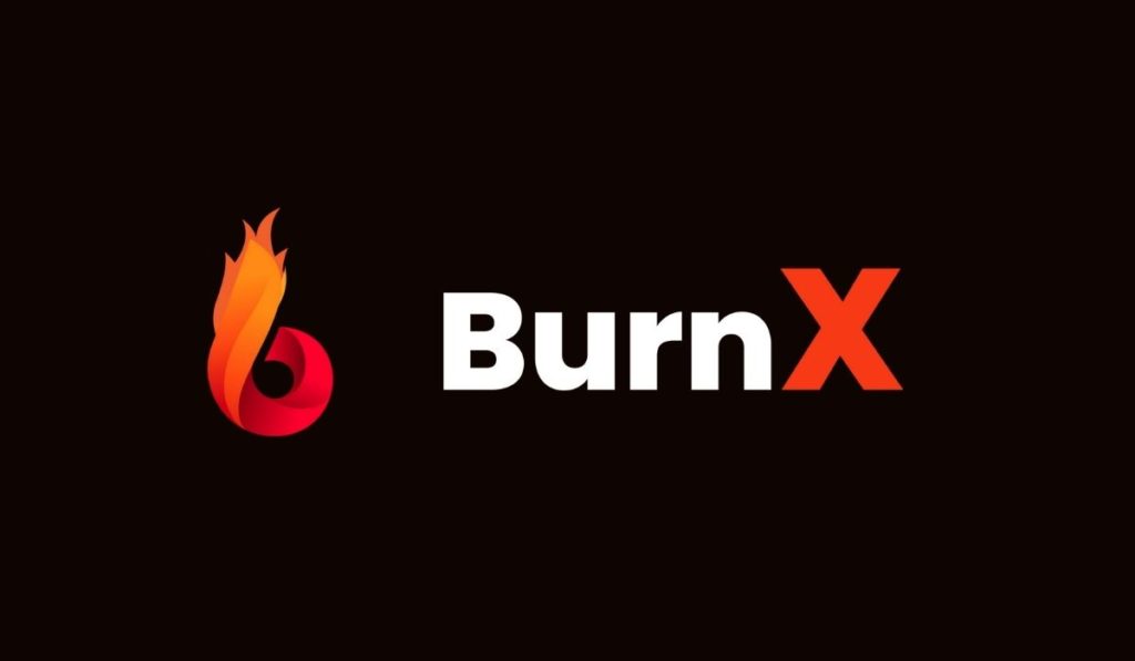  burn-x token hyperdeflationary unique crypto excite investors 