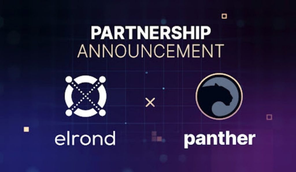 Elrond Partners With Panther Protocol To Bring Interoperable Privacy Mechanism To The Elrond Network