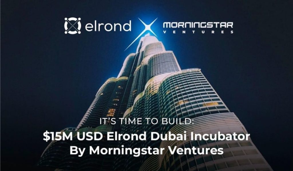  investment elrond fund firm morningstar blockchain ventures 