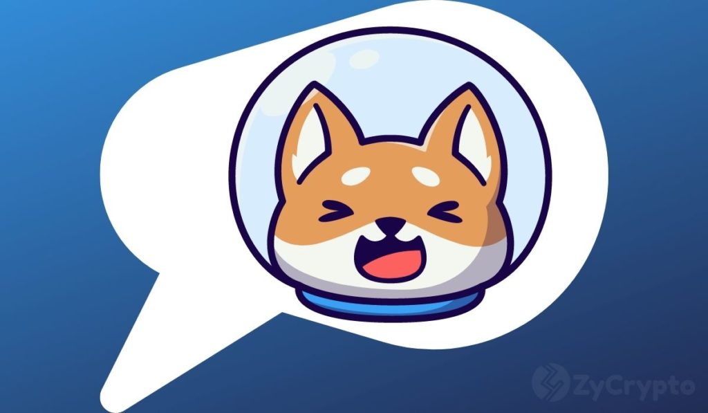 Shiba Inu Becomes Most Talked About Crypto Asset On Social Media, Eclipsing Bitcoin, Ethereum, And Dogecoin