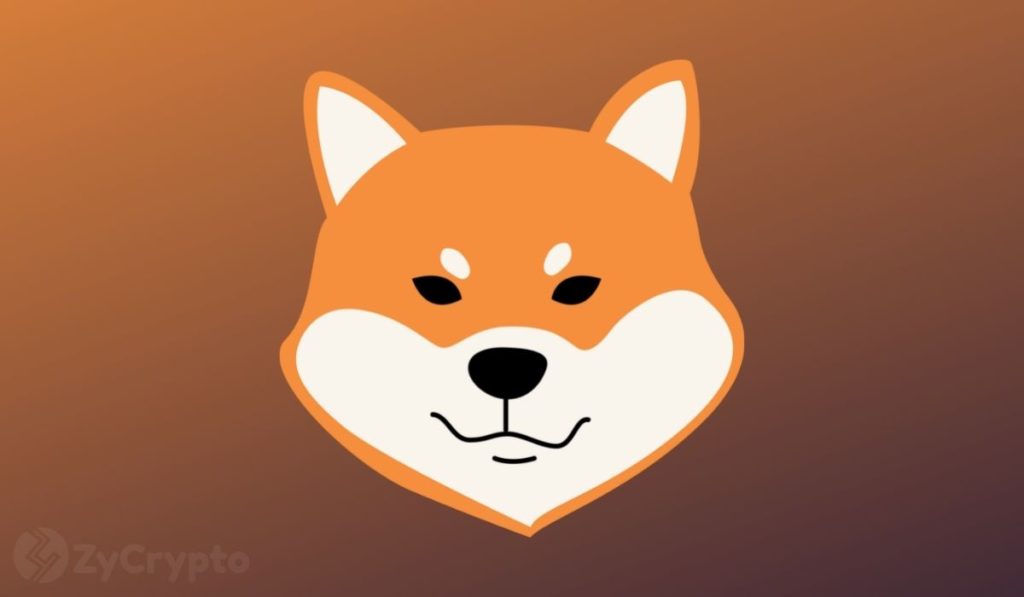 This Investor Made A Bet On Shiba Inu In August 2020  Hes Now A Crypto Billionaire