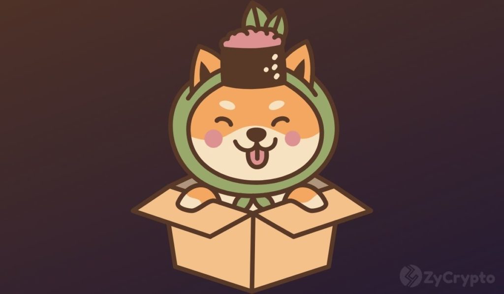 Worlds Leading Computer Hardware Retailer Finally Onboards Shiba Inu For Payments