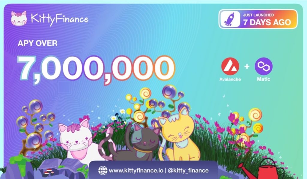 Kitty Finance Projected To Reach Over $50M TVL Over The Next 30 Days