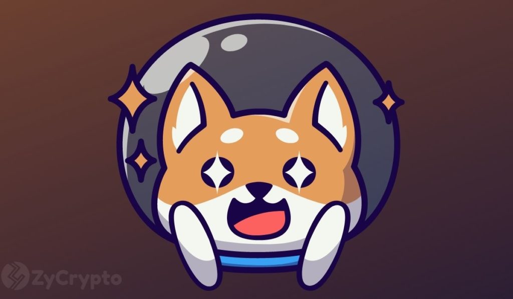 Shiba Inu Trading For Over 17 Million Robinhood Users  Is A Mind-Blowing SHIB Moonshot Incoming?