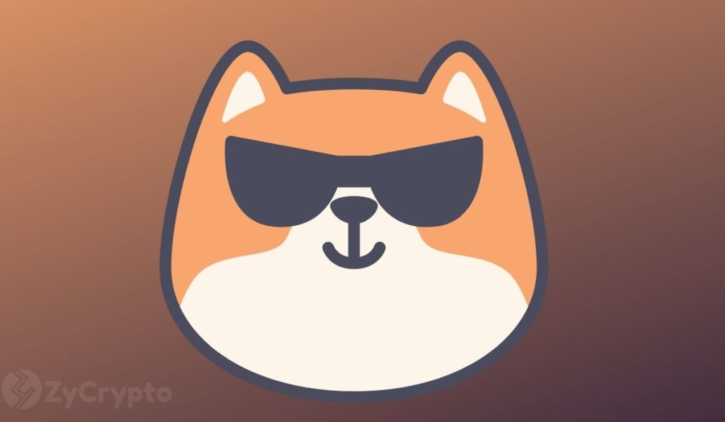 Why Shiba Inu Has Remained The Most Held Asset Amongst Large Ether Whales Despite Price Turmoil