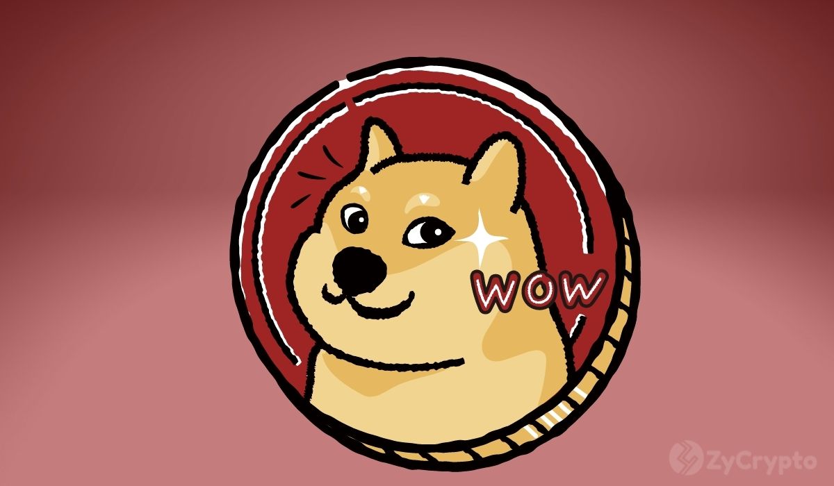 Cardano Creator Suggests Dogecoin Superfan Elon Musk Owns 20% Of DOGE Supply