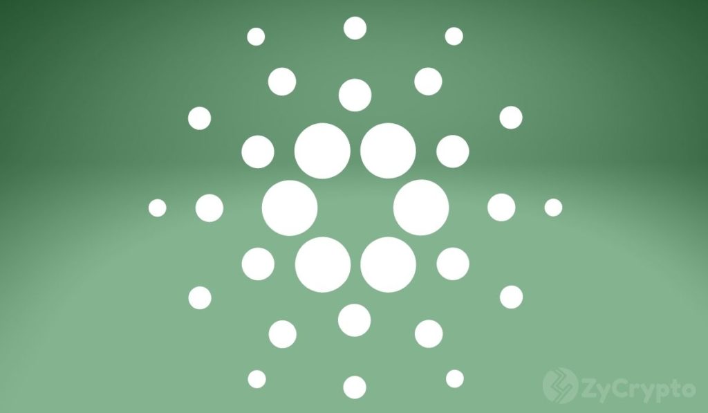  cardano year ada network publicity boost space 