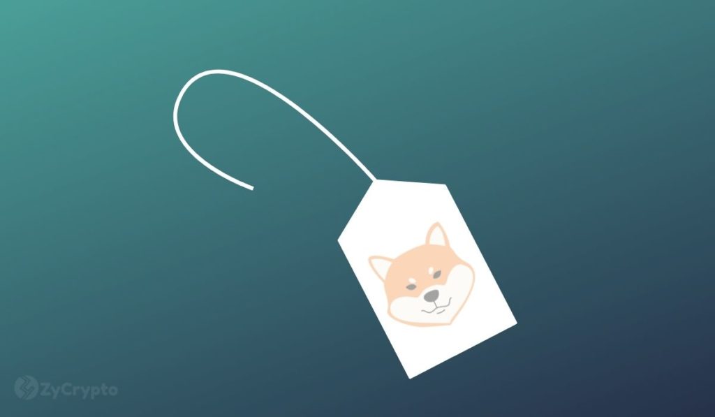 Shiba Inu Finally Wants To Drop The MemeCoin Tag With The Launch Of Its Own Blockchain As Adoption Rate Wobbles