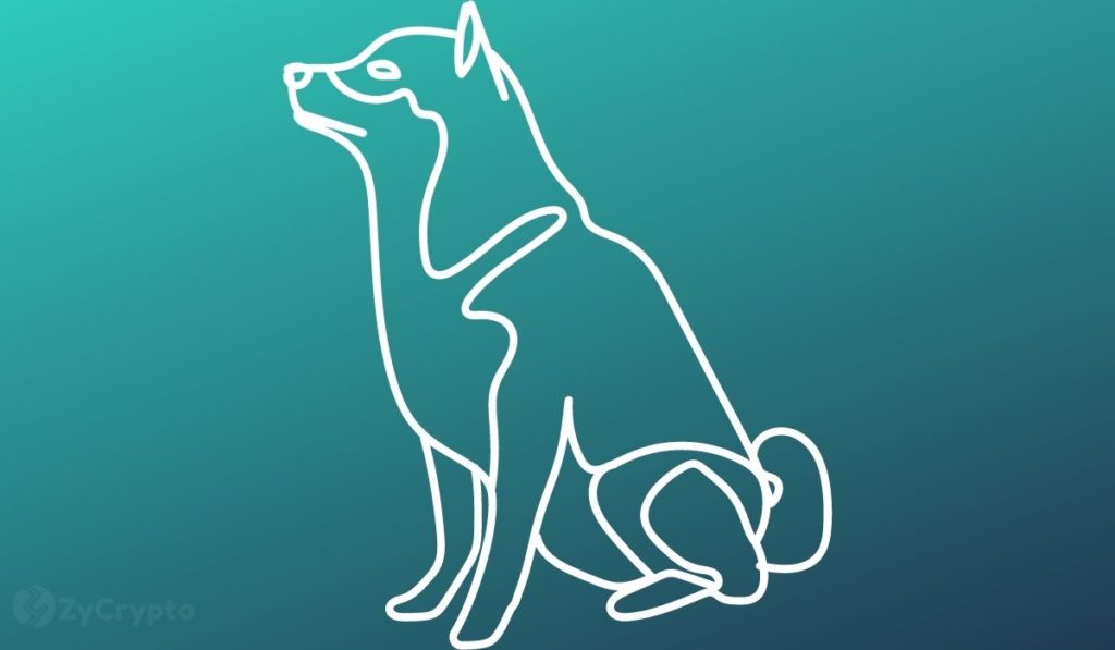 Shiba Inu Devs Set Out To Deliver An Exceptional Product As SHIB Metaverse Is Finally Unveiled