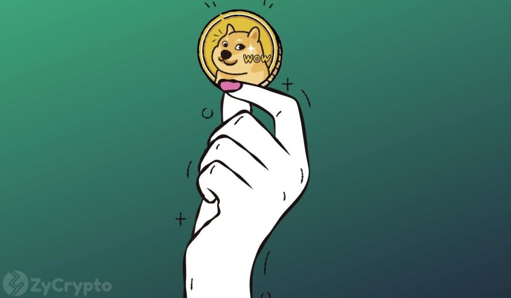  dogecoin doge apex reached may when months 