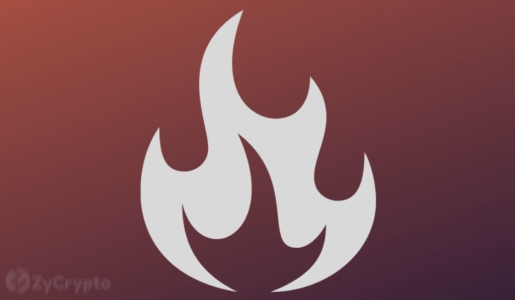  burn shib portal holders token enabling features 