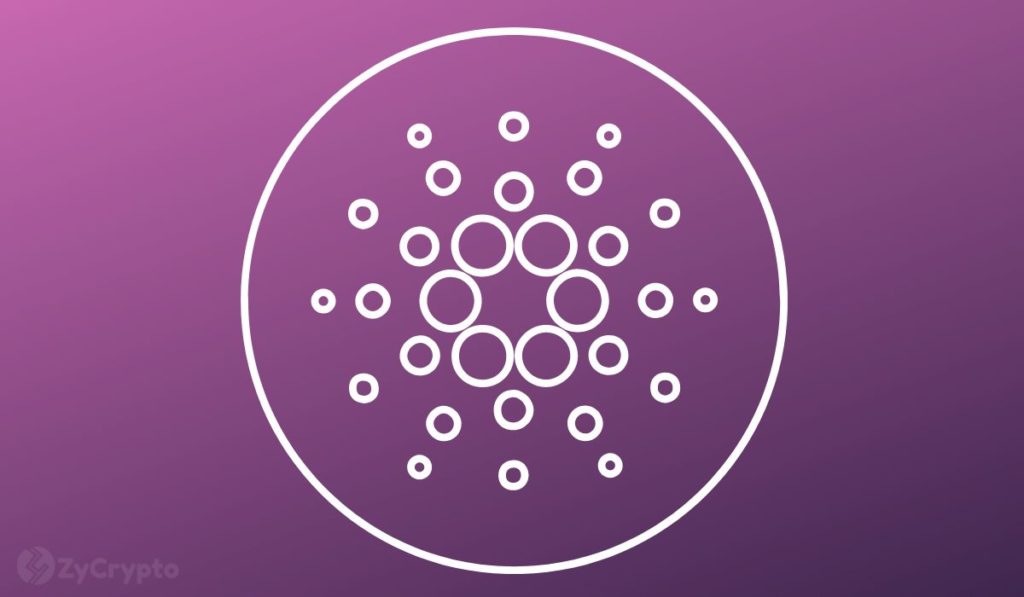  activity cardano ecosystem continues experience months recent 