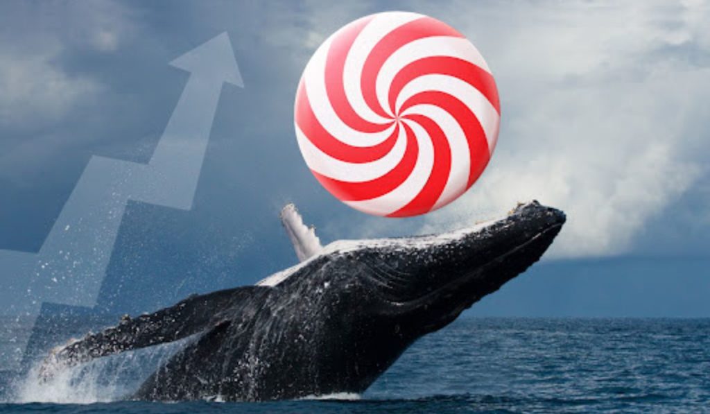  candydex token tokens exchange crypto whales wonder 