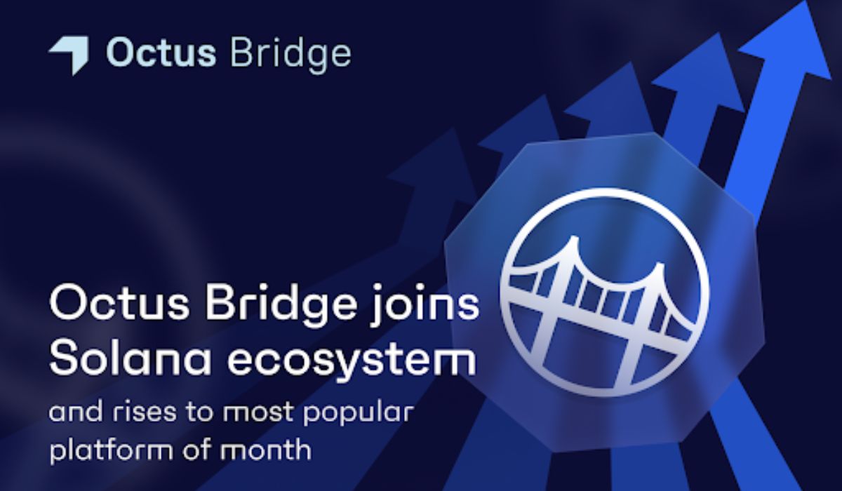  solana octus networks list supported bridge network 
