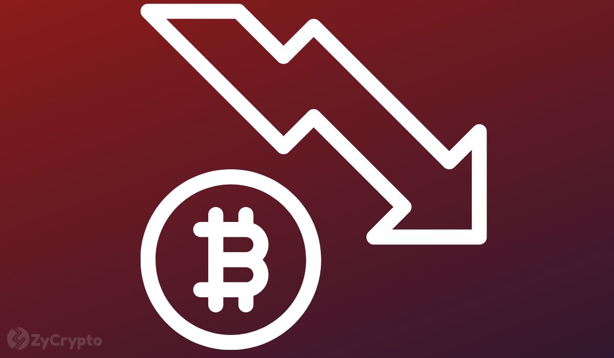Bitcoin Holds Steady Despite US CPI Data Spooking Investors  Is A Crash To $12,000 In The Offing?