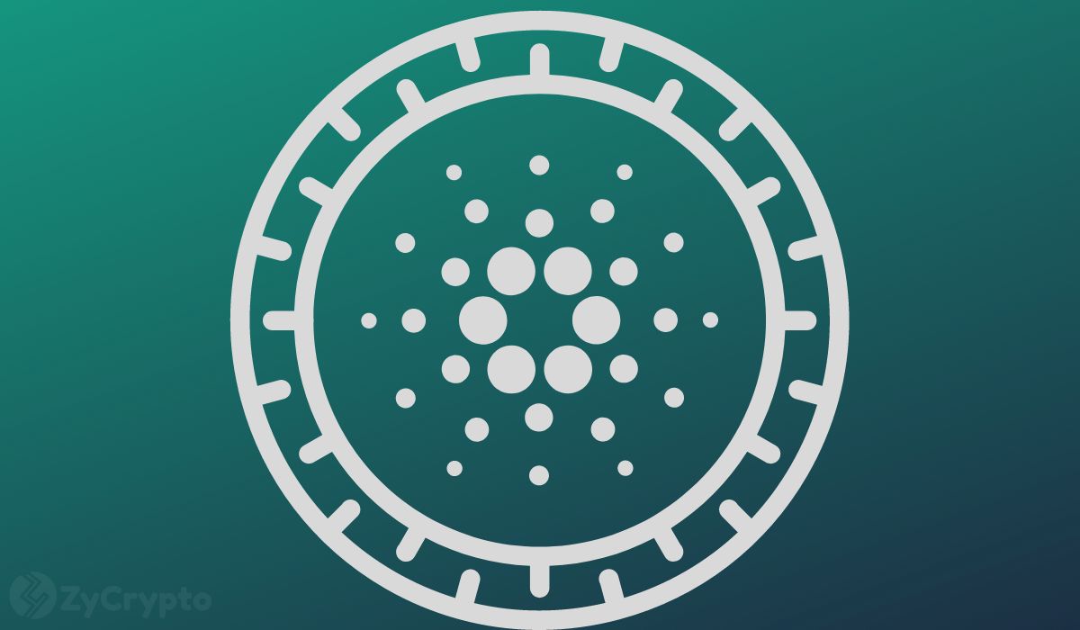  volume cardano non-fungible tokens nfts networks three 